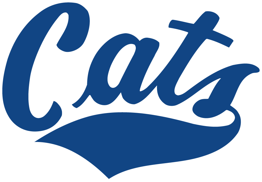 Montana State Bobcats 1982-1995 Wordmark Logo iron on transfers for T-shirts